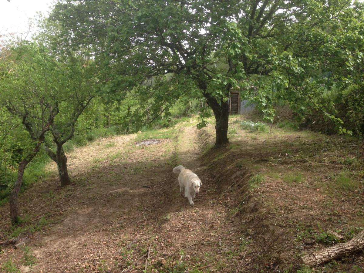 Ciglieri Santermo Casciana Terme Lari Pet&Bike Friendly Free Park 아파트 외부 사진
